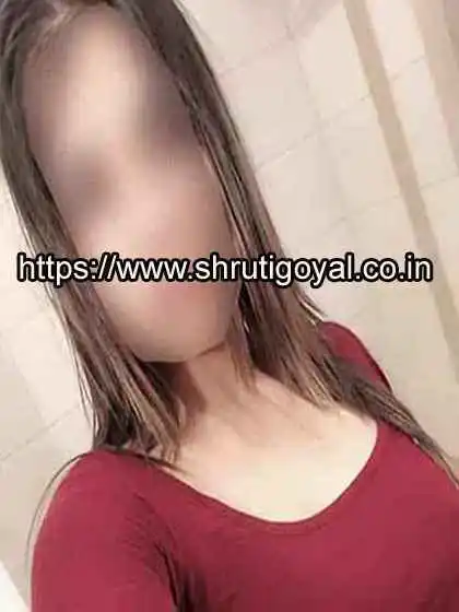 ankita model escort ludhiana